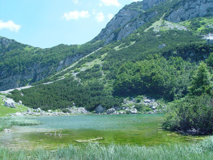 Apartments Durmitorska Vila Žabljak Kültér fotó